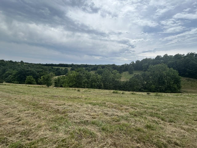 main property photo 43