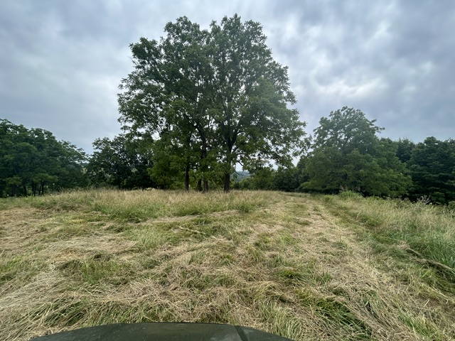 main property photo 47