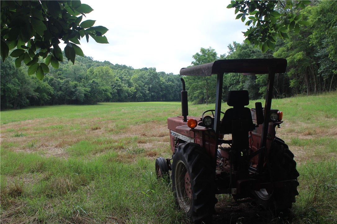 main property photo 30