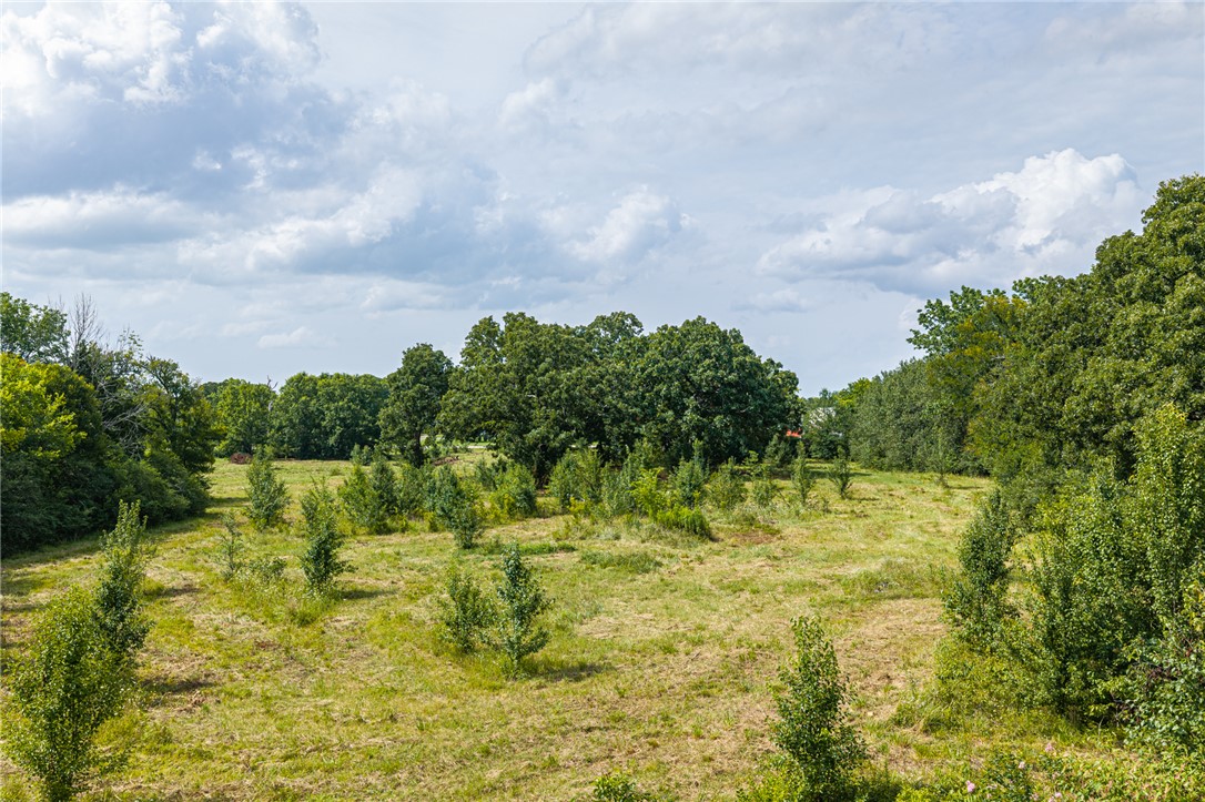 main property photo 46