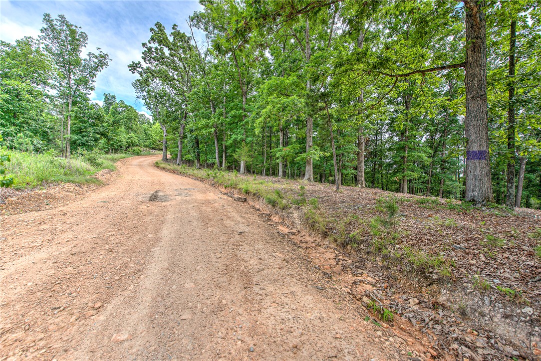 main property photo 18