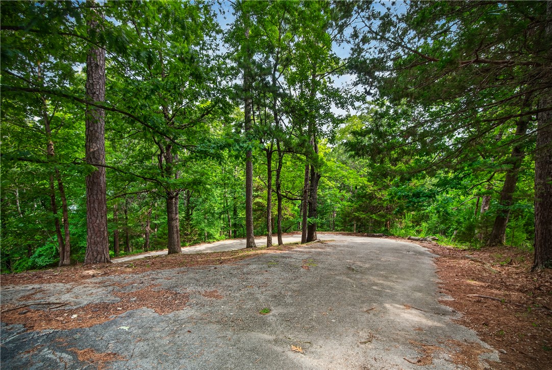 main property photo 53