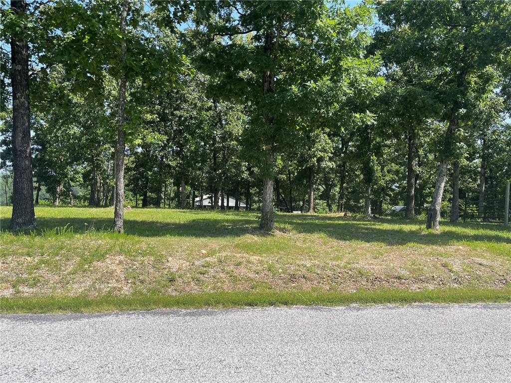 main property photo 14