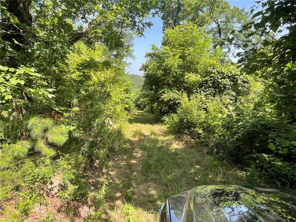 main property photo 23