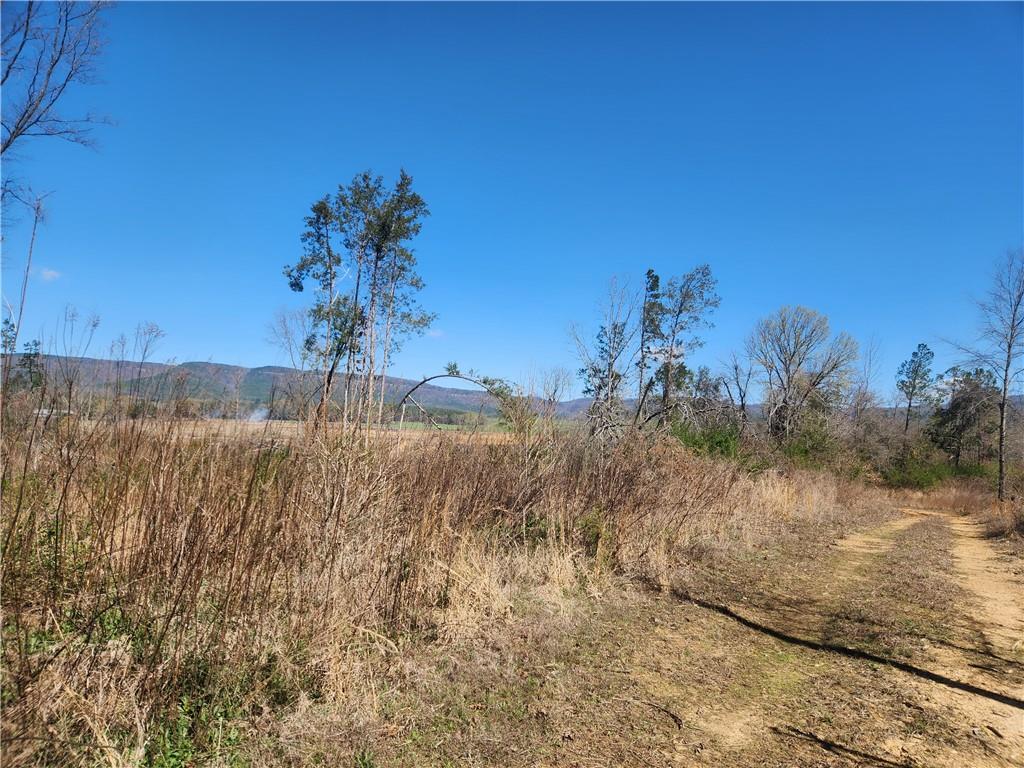 main property photo 0
