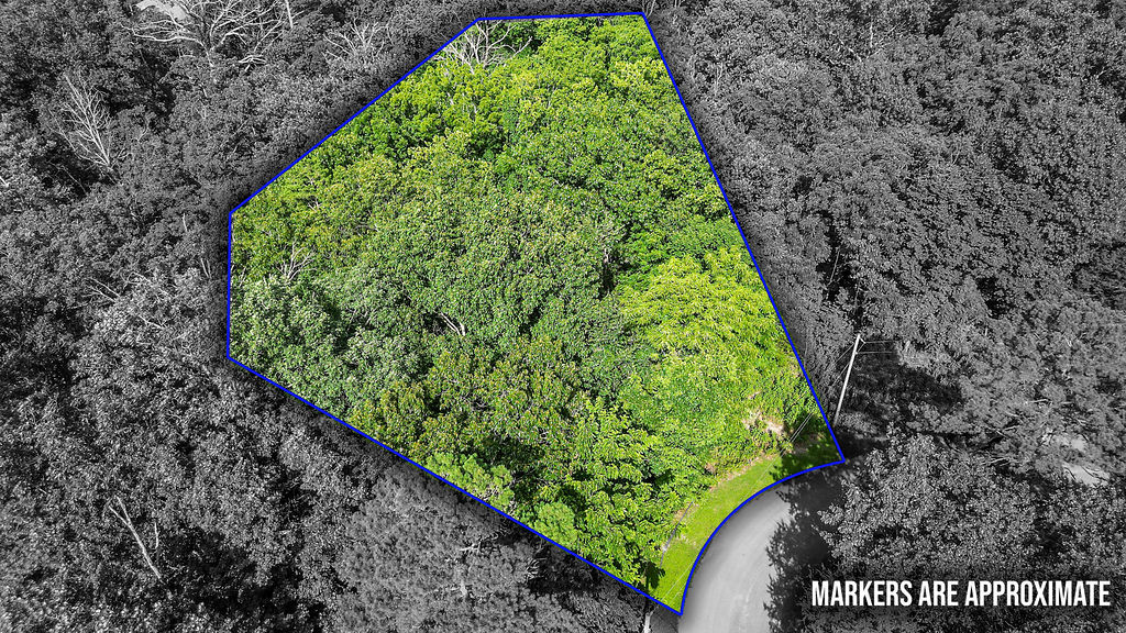 main property photo 11