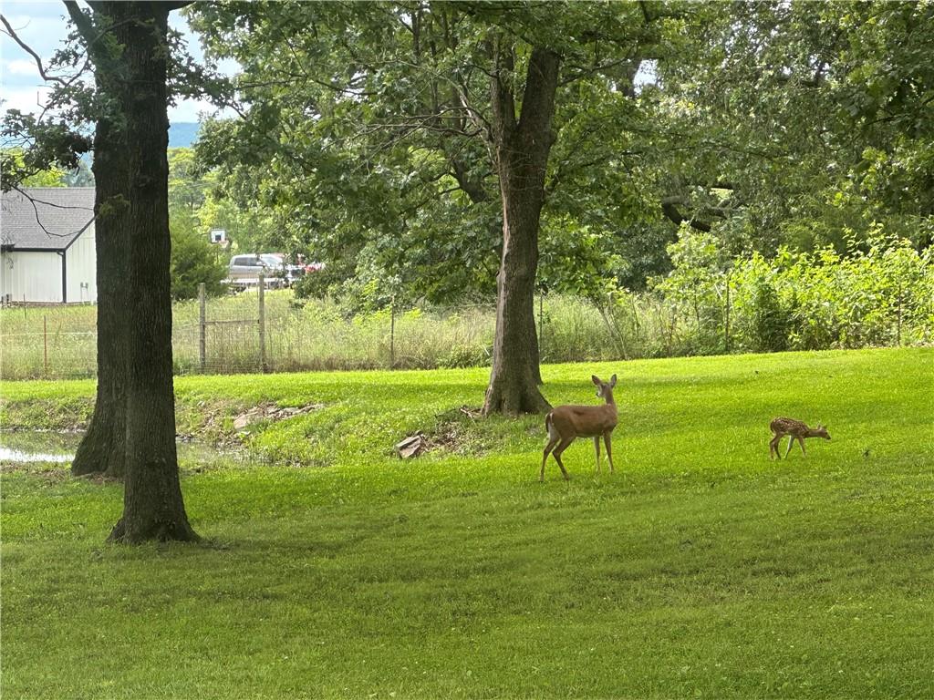 main property photo 59