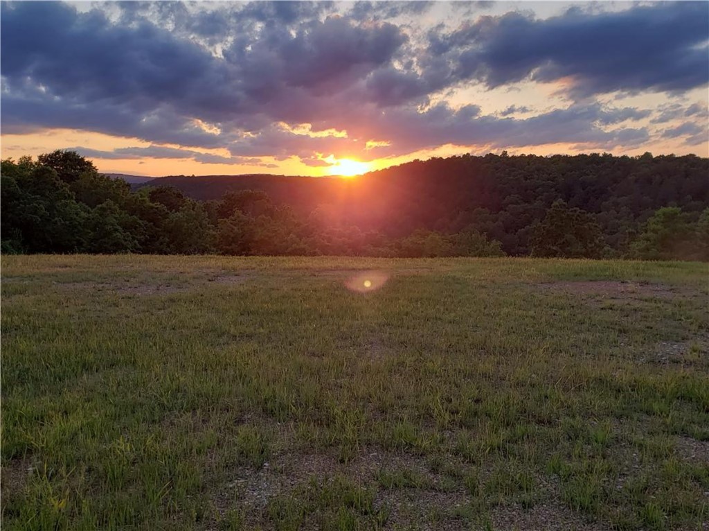 main property photo 46