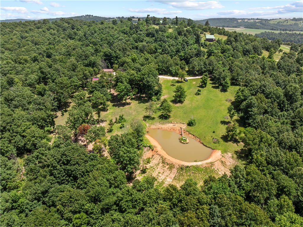 main property photo 39