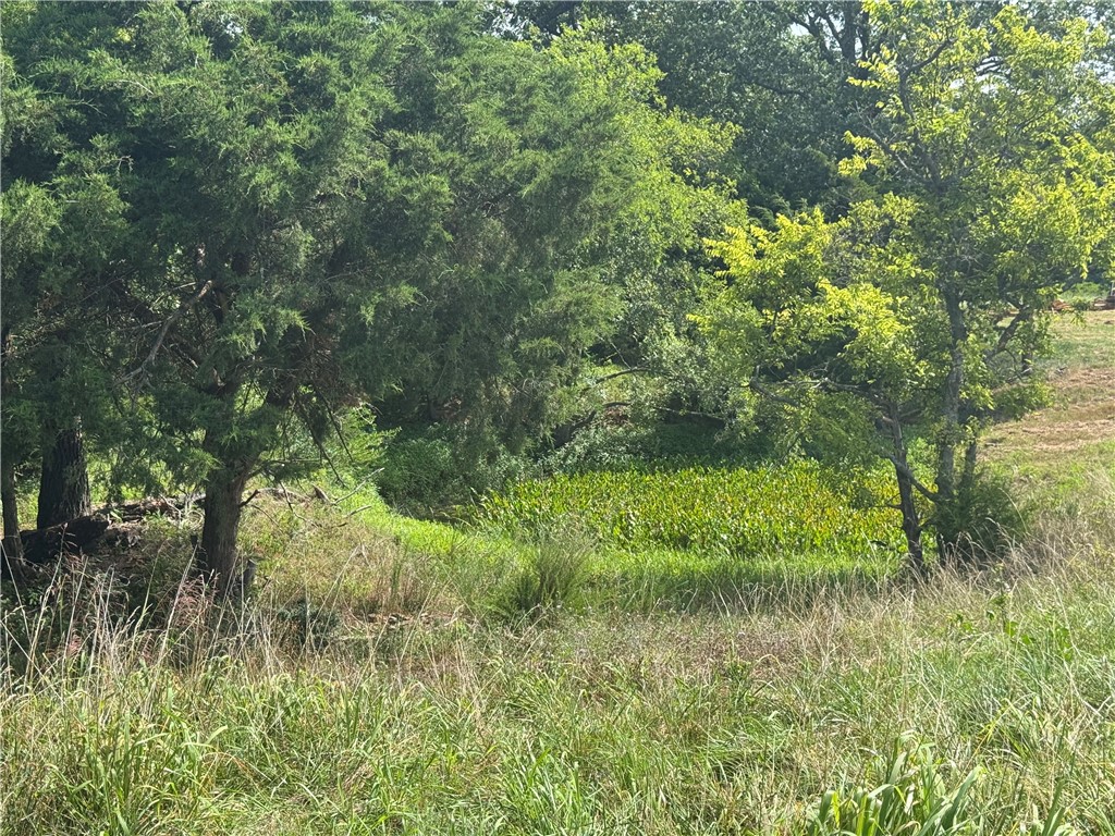 main property photo 10