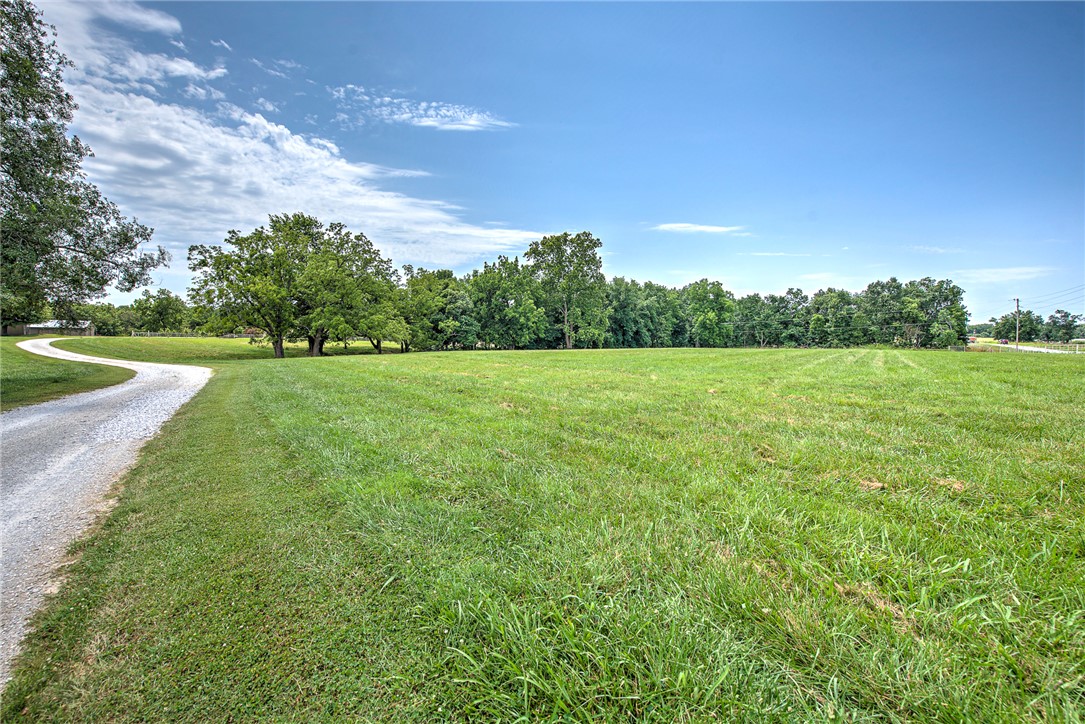 main property photo 56