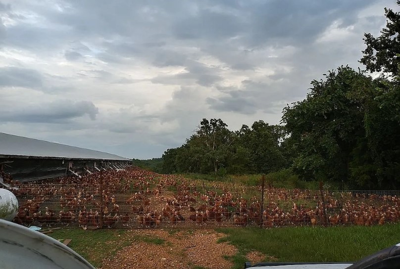 main property photo 21