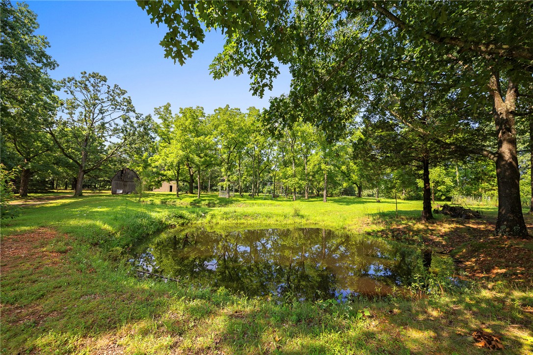 main property photo 42