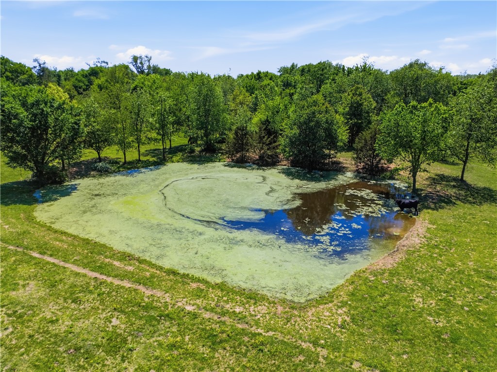 main property photo 38