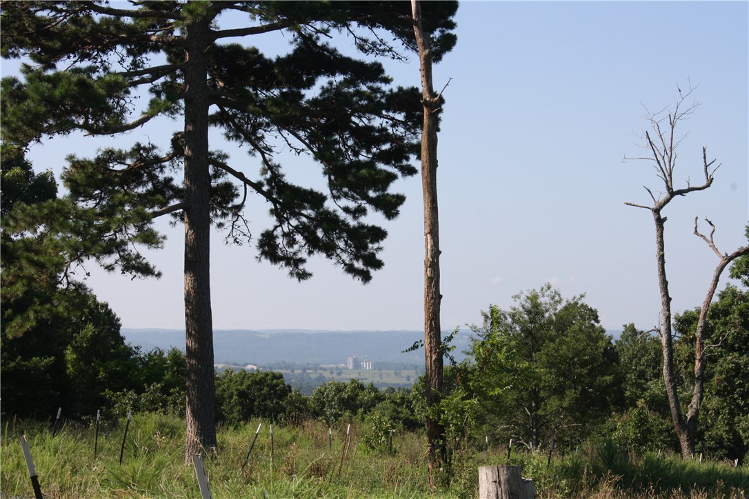 main property photo 11