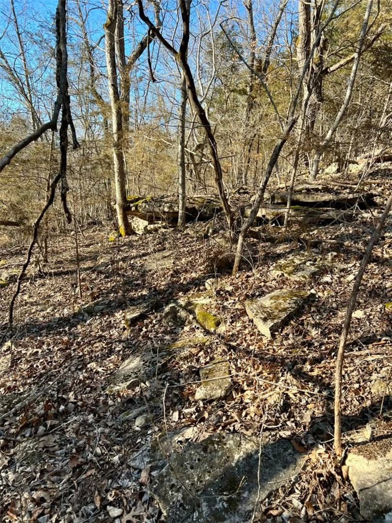main property photo 21