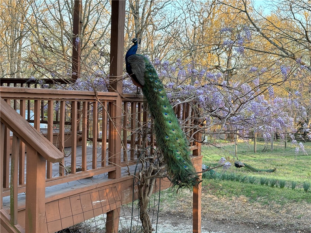 main property photo 52