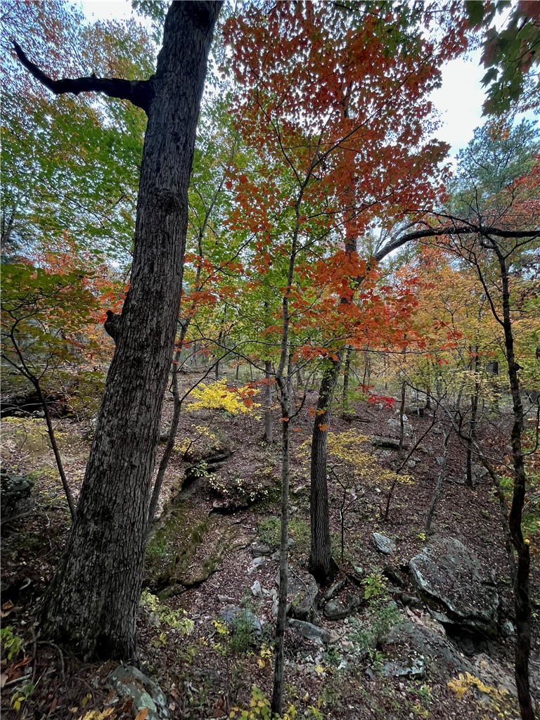 main property photo 48