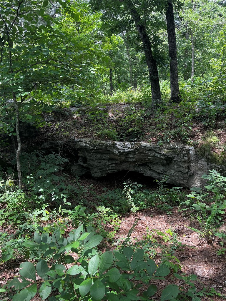 main property photo 51
