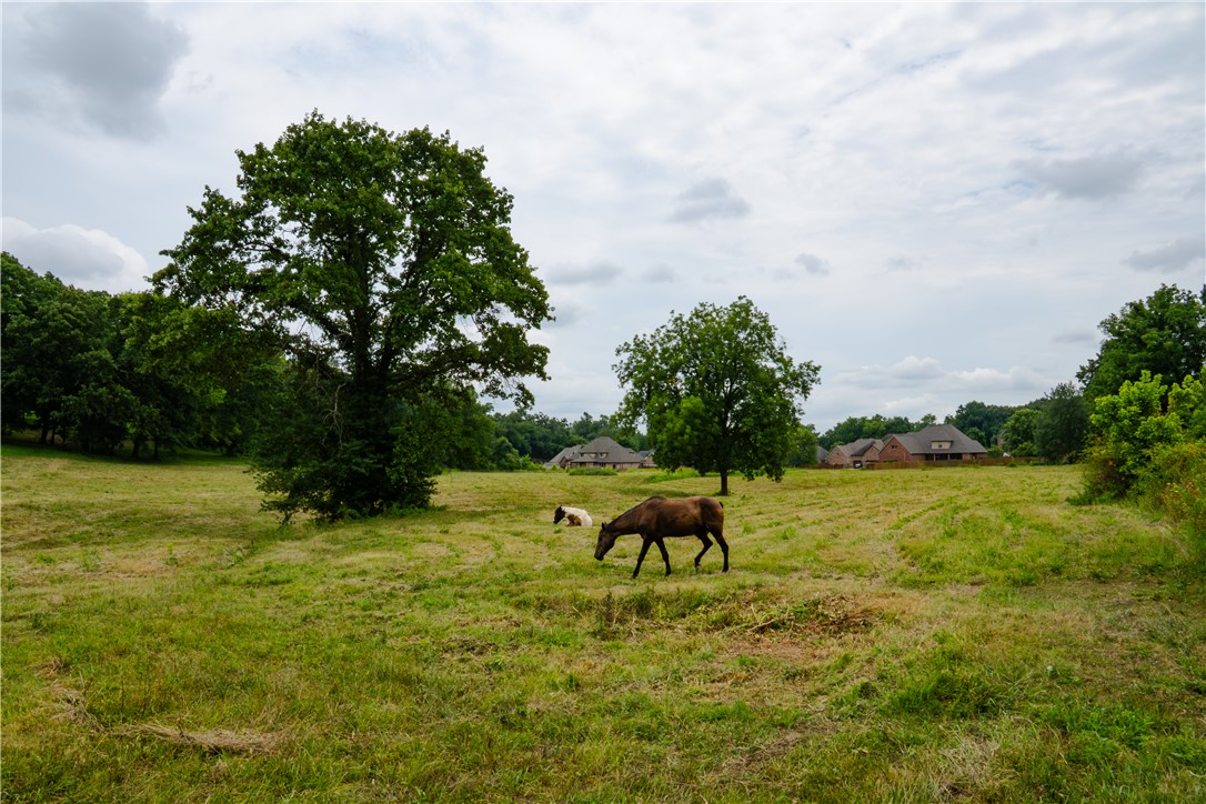 main property photo 26