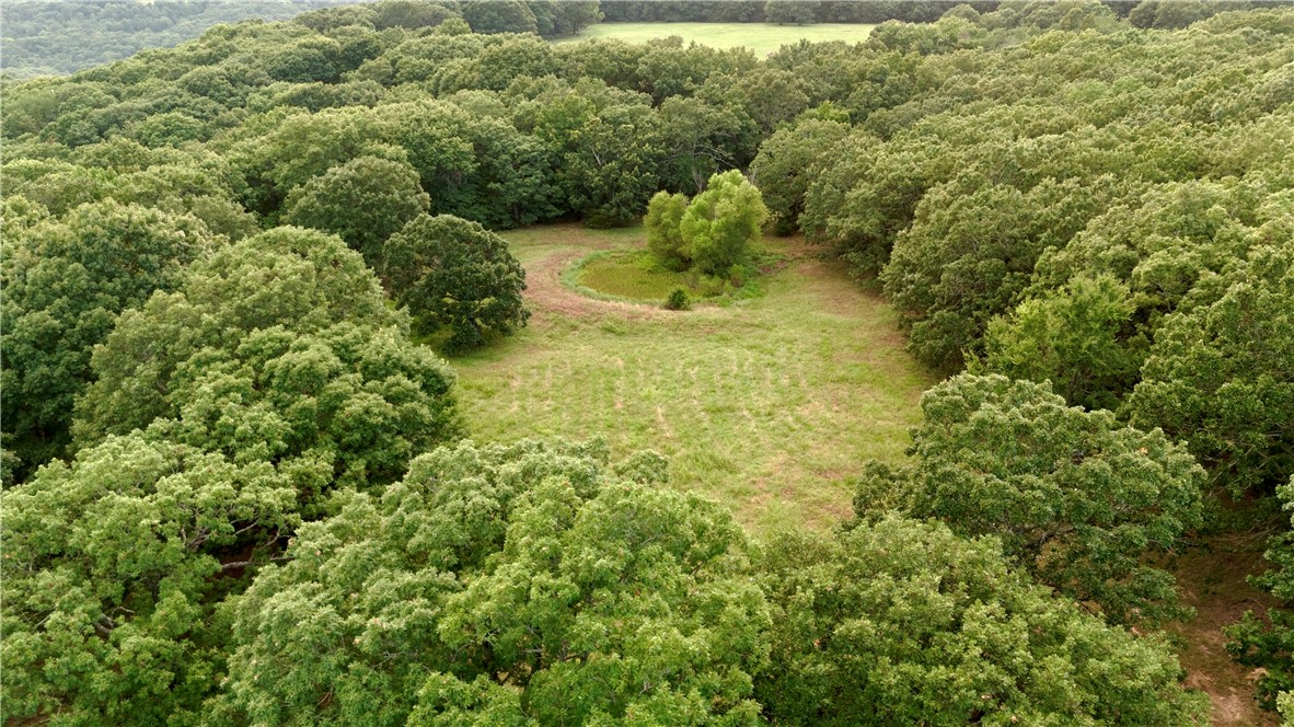 main property photo 59