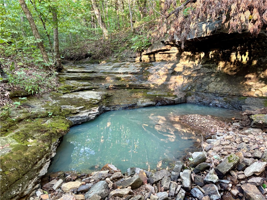 main property photo 45
