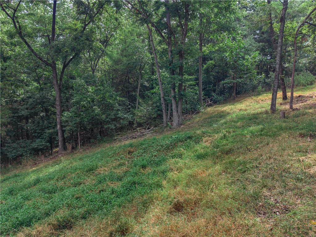 main property photo 34
