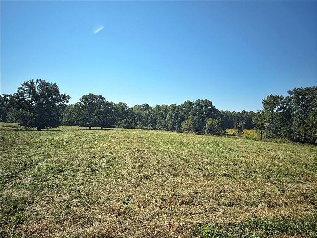 main property photo 29