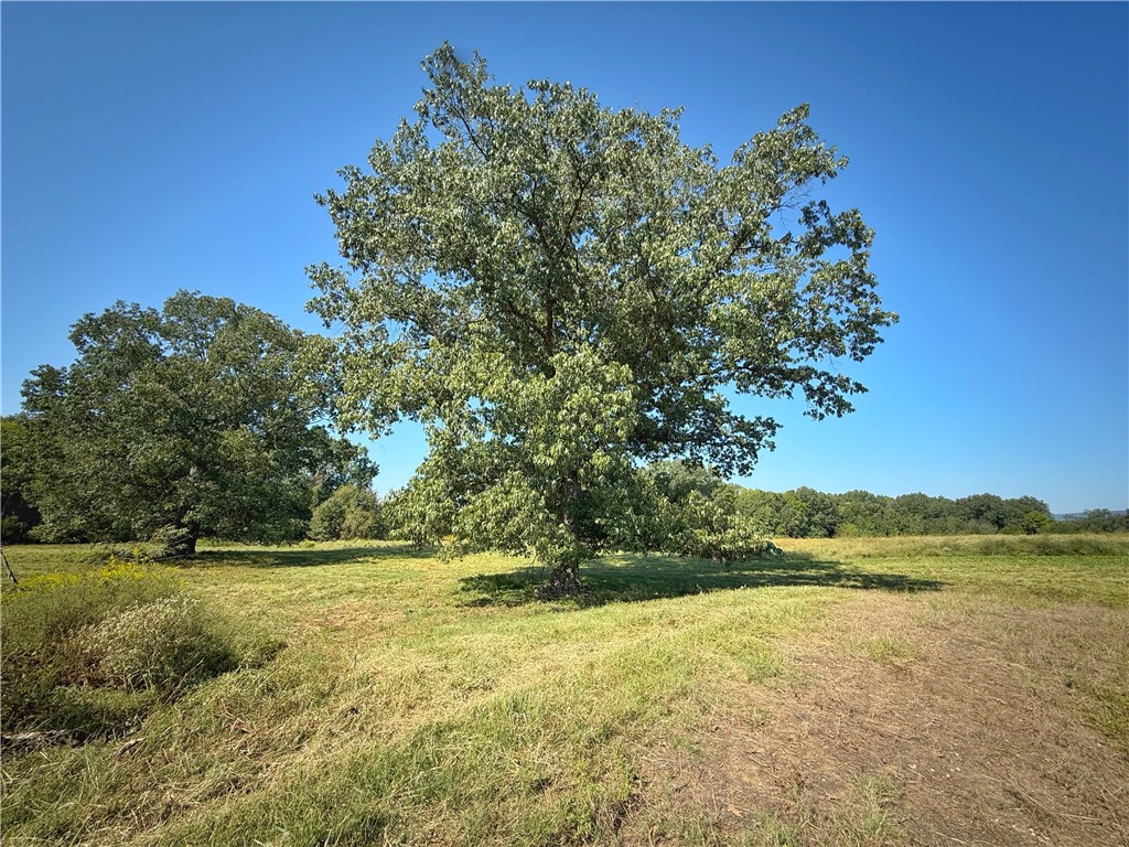 main property photo 24