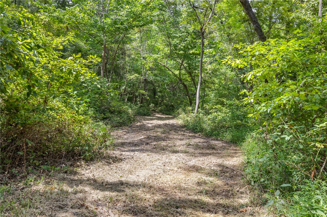 main property photo 42