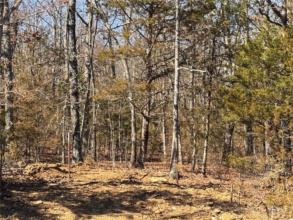 main property photo 10