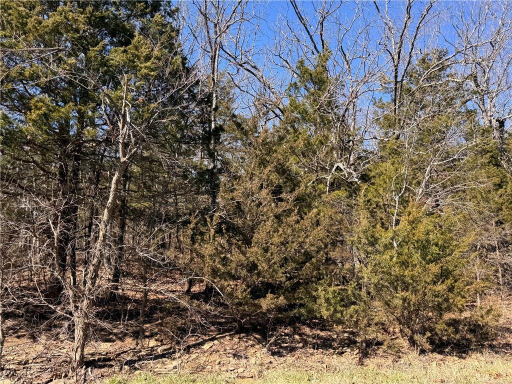 main property photo 9