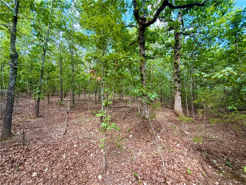 main property photo 19