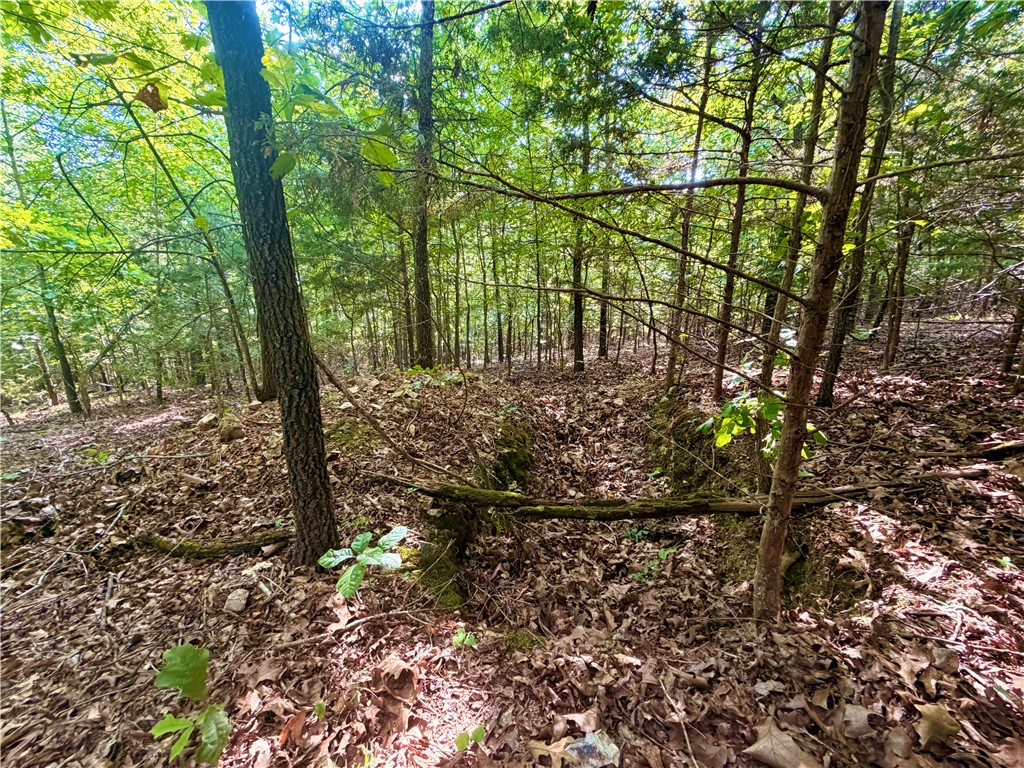main property photo 24