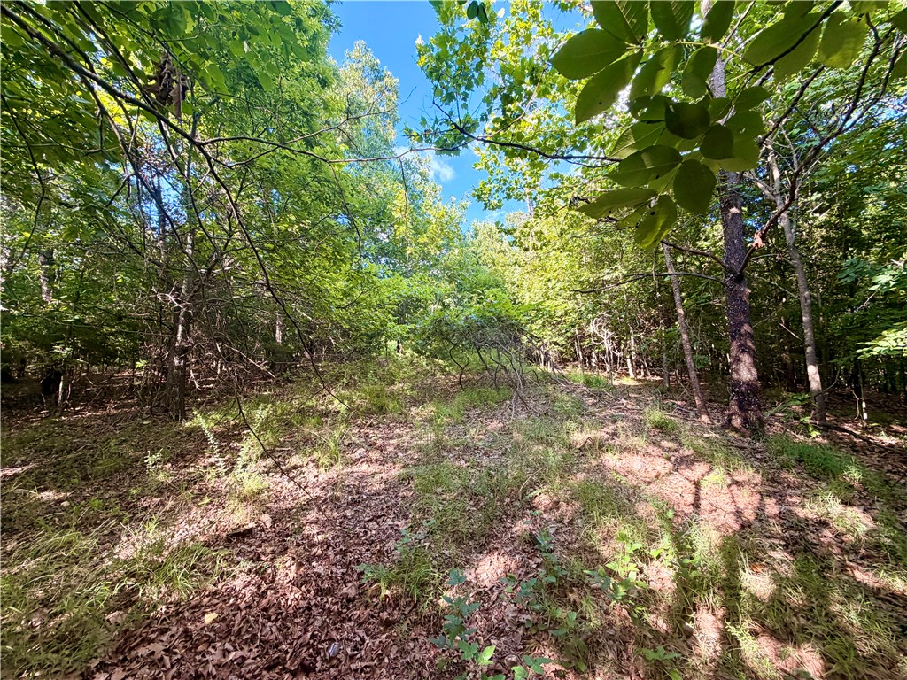 main property photo 25