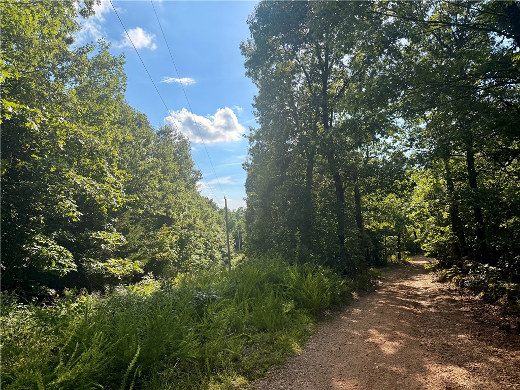 main property photo 26