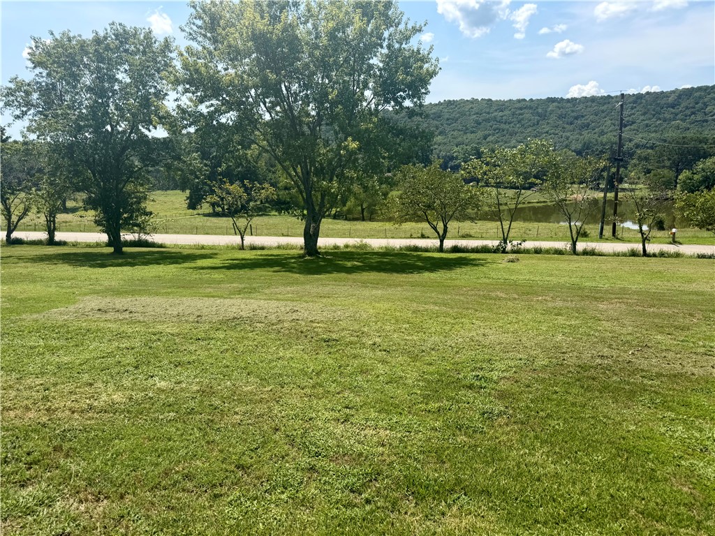main property photo 33