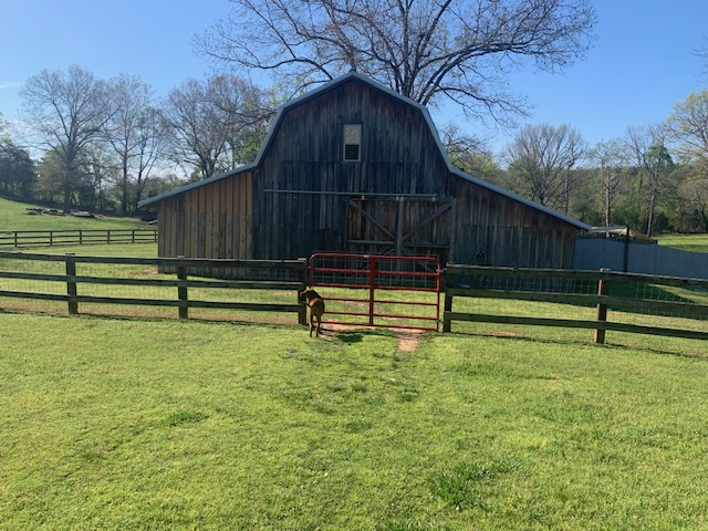 main property photo 13