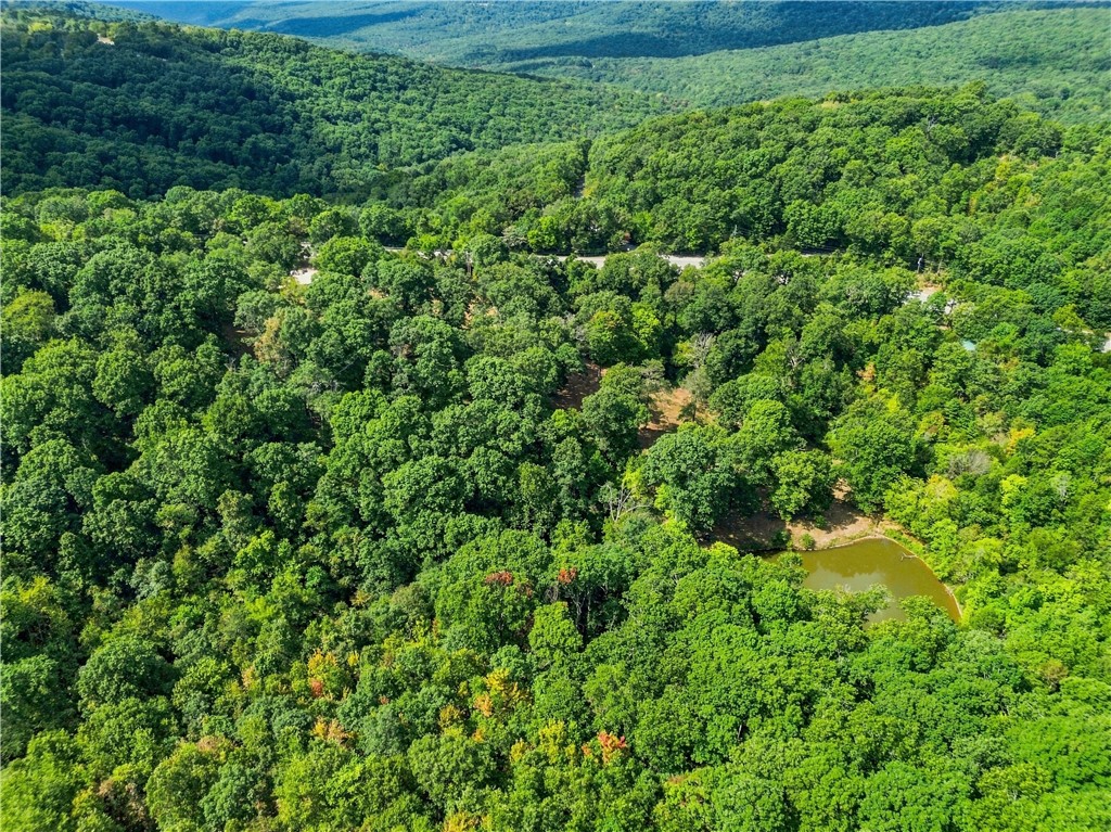 main property photo 53
