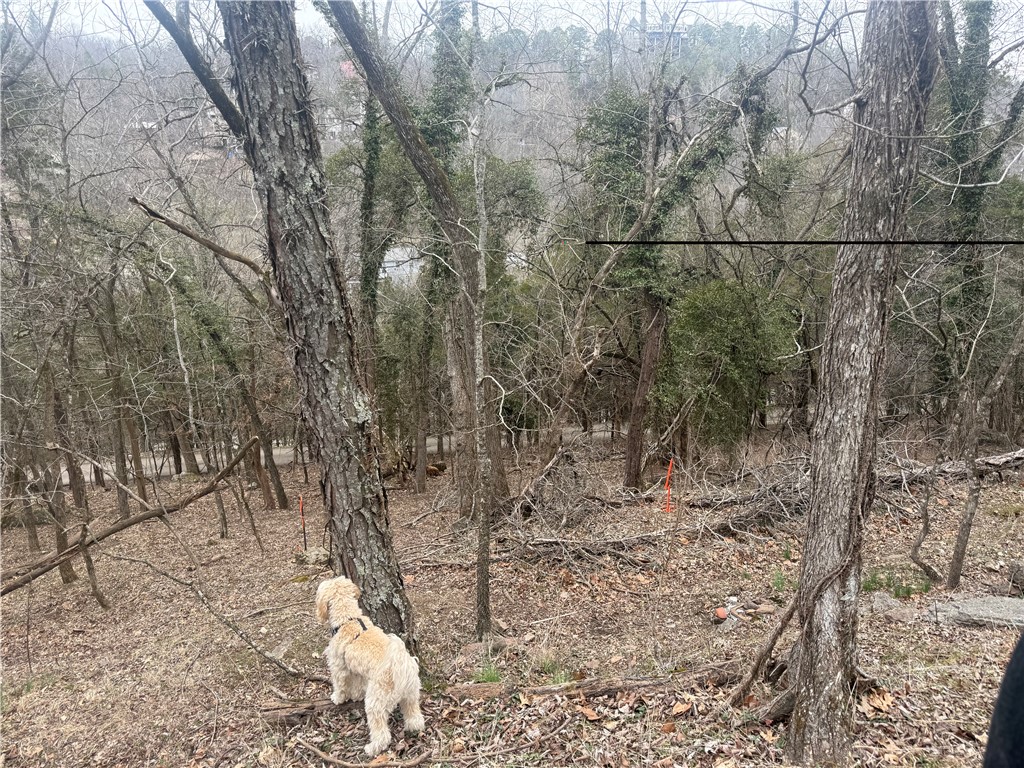 main property photo 25