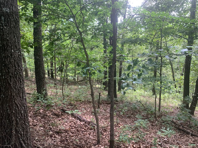 main property photo 10