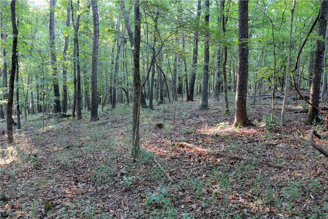 main property photo 24