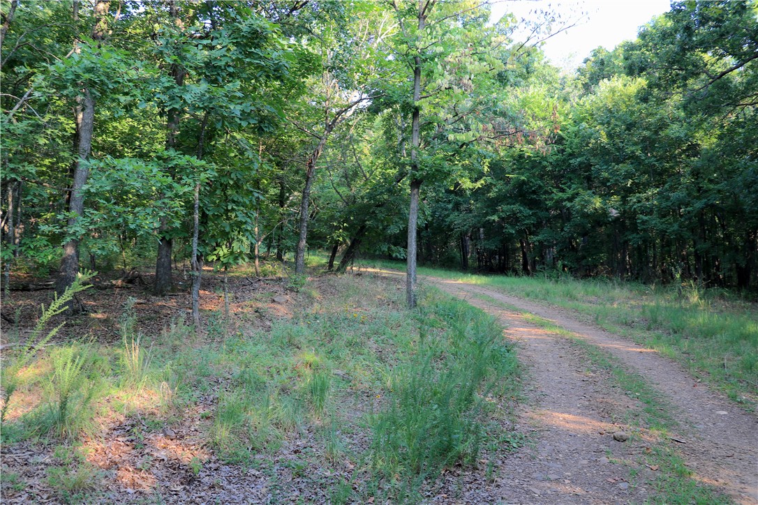 main property photo 41