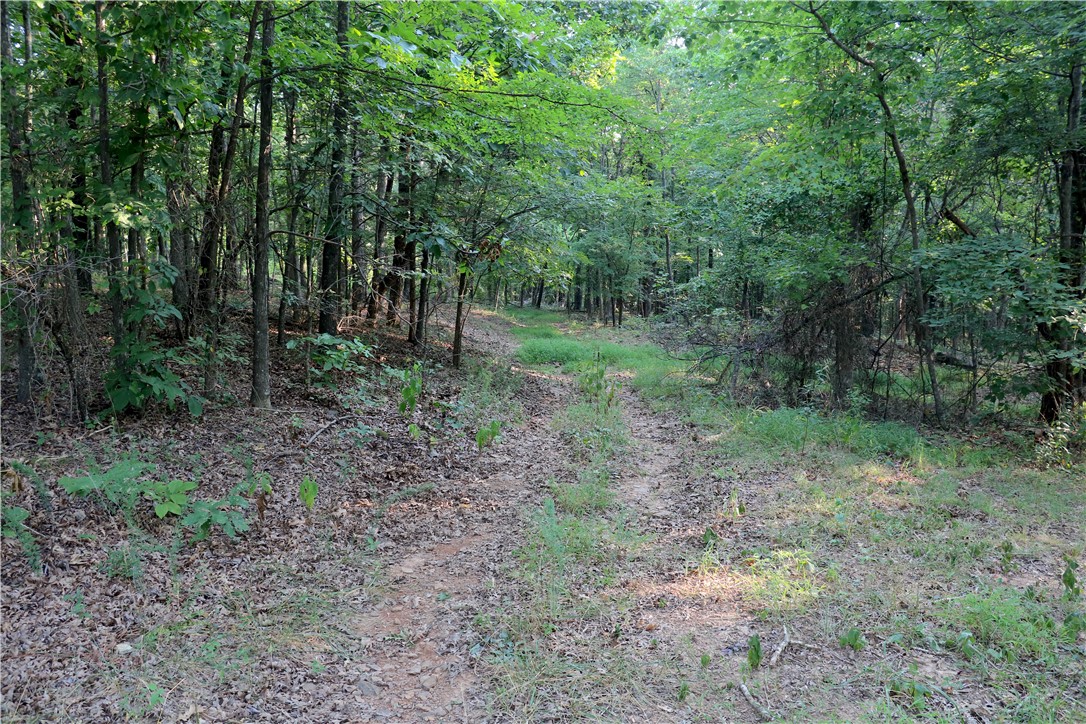 main property photo 43