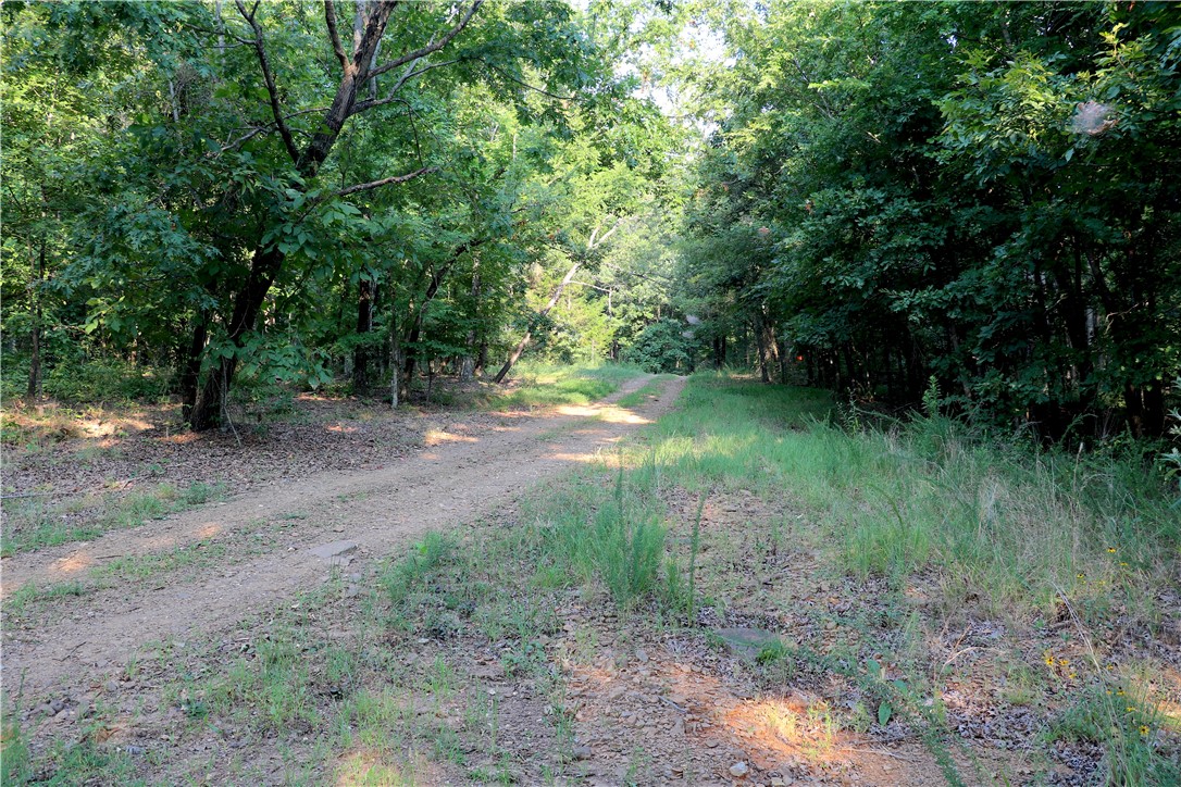 main property photo 44