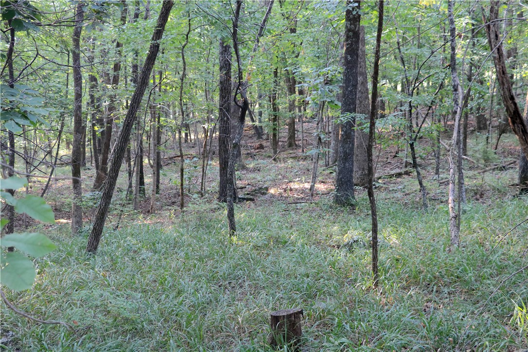 main property photo 49