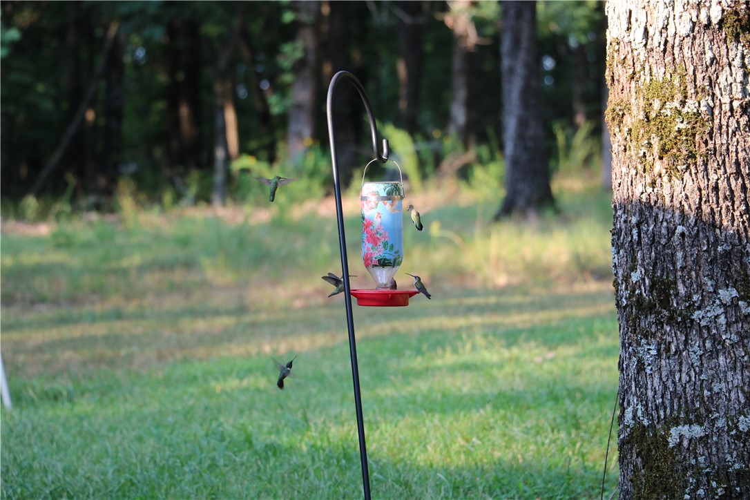 main property photo 51
