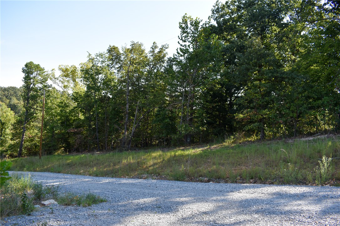 main property photo 38
