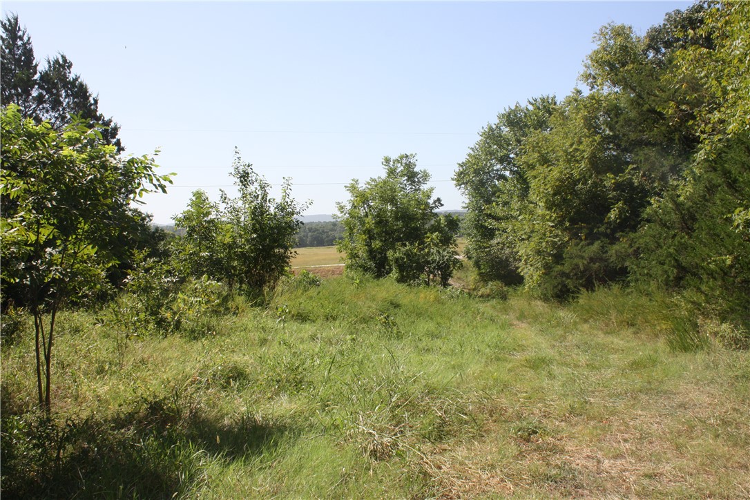 main property photo 23