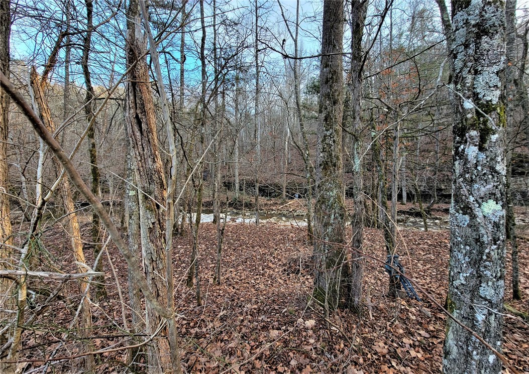 main property photo 37